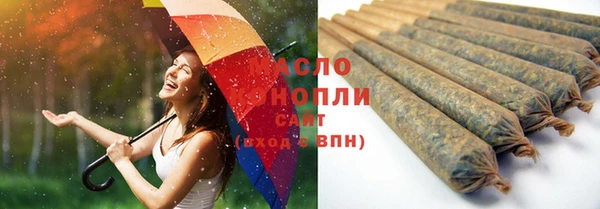 ГАЛЛЮЦИНОГЕННЫЕ ГРИБЫ Инта