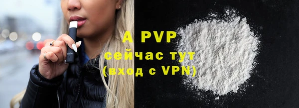 ГАЛЛЮЦИНОГЕННЫЕ ГРИБЫ Инта