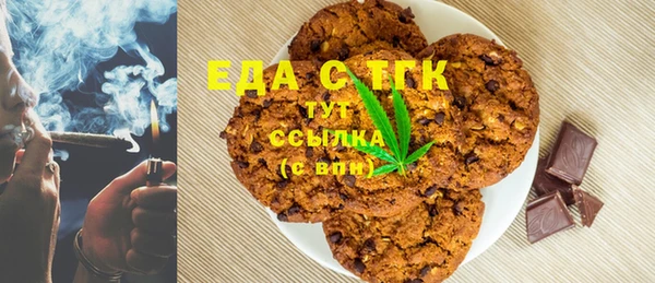 ГАЛЛЮЦИНОГЕННЫЕ ГРИБЫ Инта