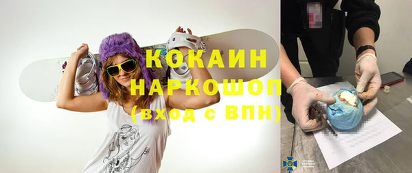 ГАЛЛЮЦИНОГЕННЫЕ ГРИБЫ Инта