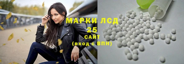 ГАЛЛЮЦИНОГЕННЫЕ ГРИБЫ Инта