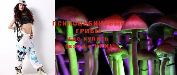 МДМА Инсар