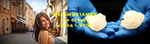ГАЛЛЮЦИНОГЕННЫЕ ГРИБЫ Инта