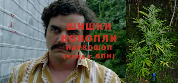 стафф Каменка