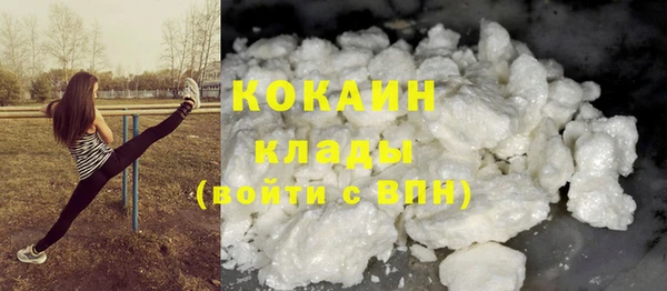 ГАЛЛЮЦИНОГЕННЫЕ ГРИБЫ Инта