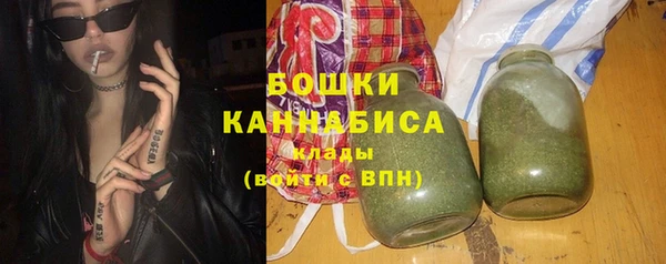 ГАЛЛЮЦИНОГЕННЫЕ ГРИБЫ Инта