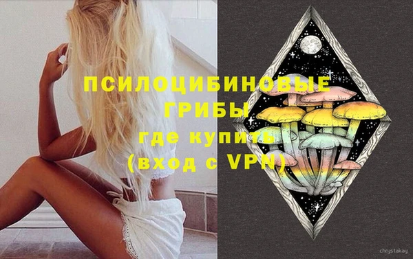 ГАЛЛЮЦИНОГЕННЫЕ ГРИБЫ Инта